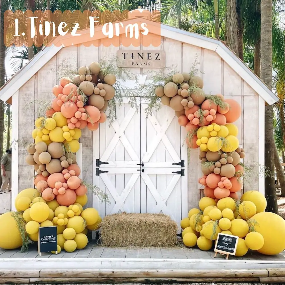 Tinez Farms es una de las granjas que tiene Pumpkin Patch en Miami.